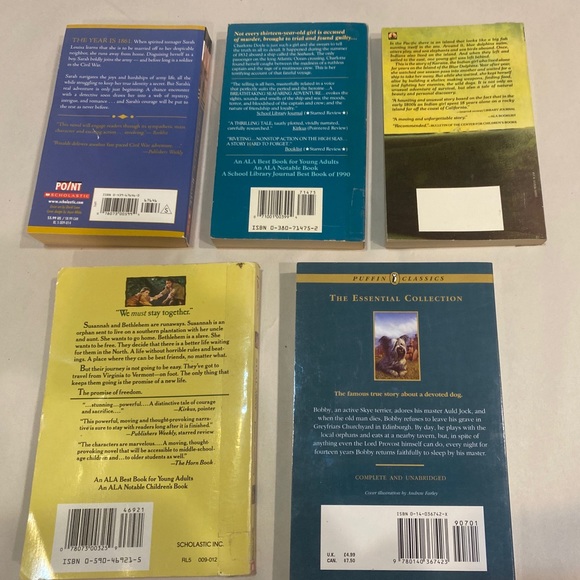 Set of 15 Historical Fiction YA Novels Teen Bulk History Drama Chapter Books - Picture 6 of 14